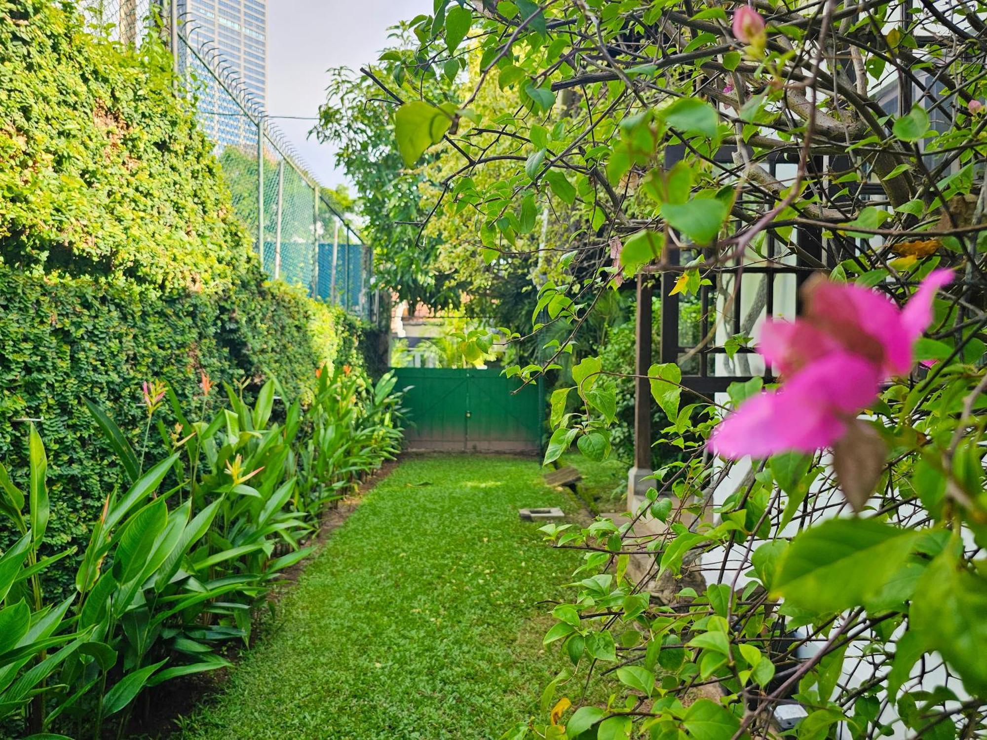 Havelock Place Bed & Breakfast *